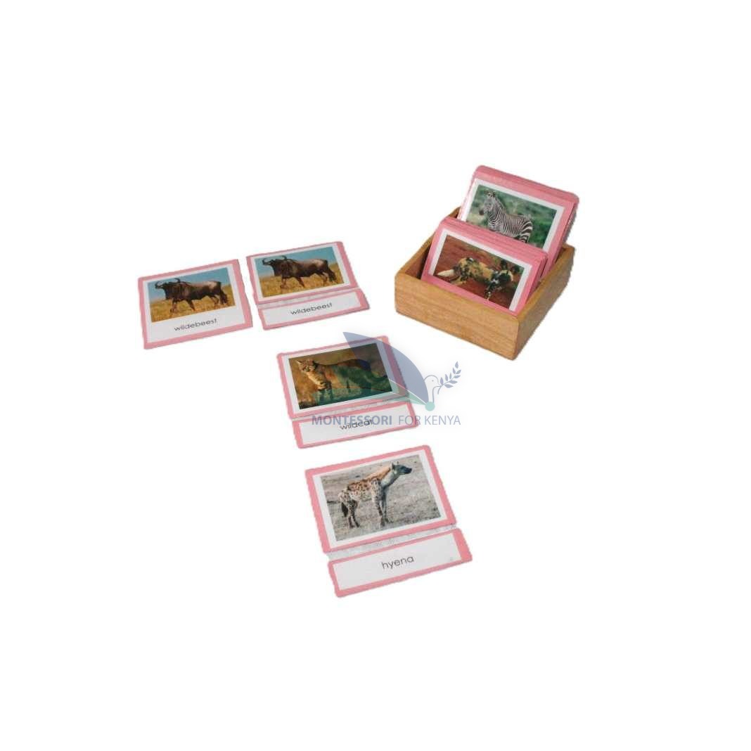 Classified Cards and Boxes